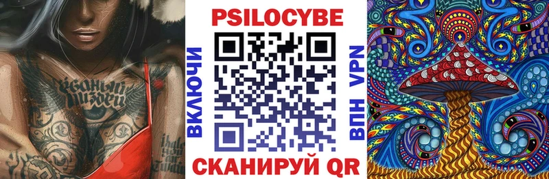цены   OMG маркетплейс  Псилоцибиновые грибы Psilocybe  Слободской 